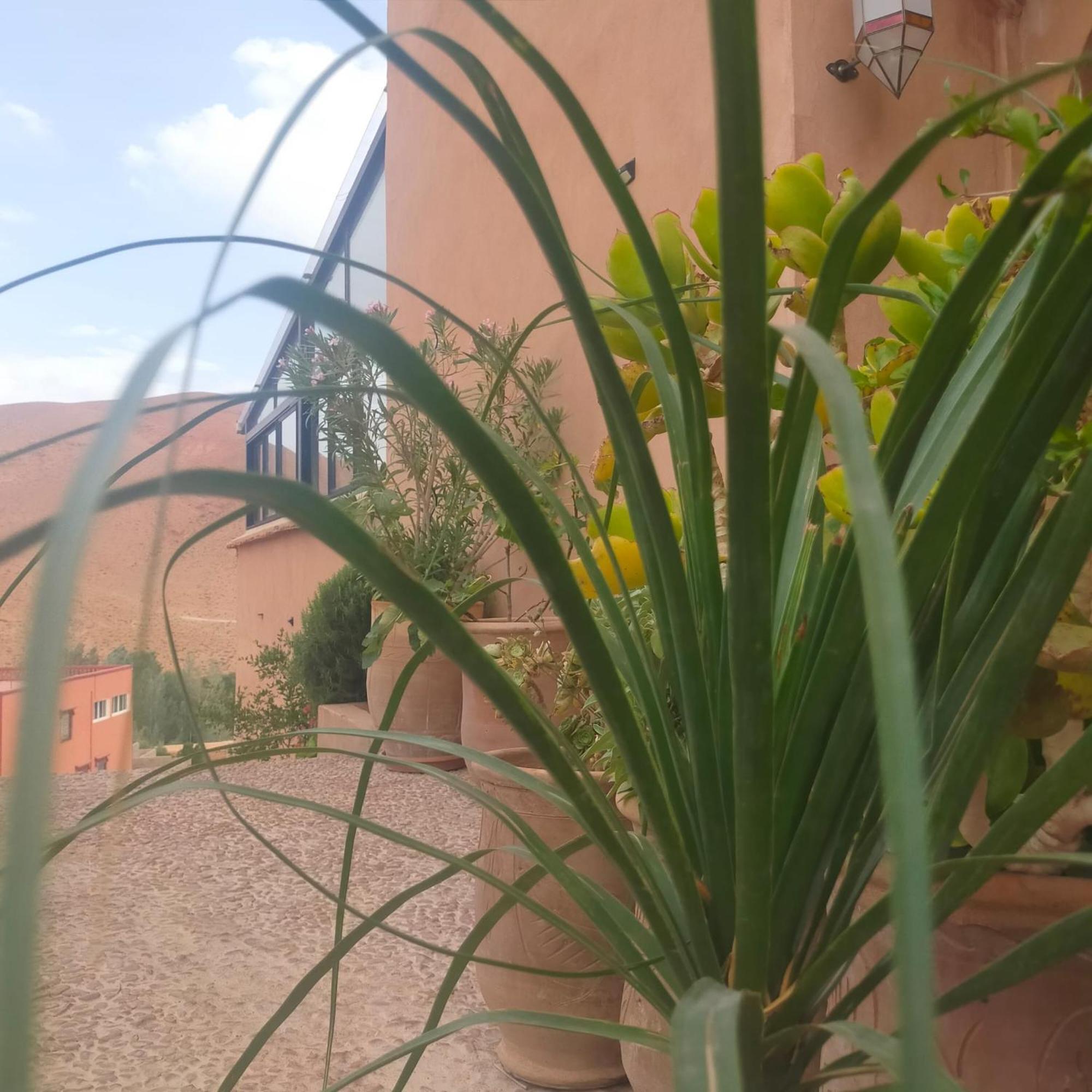 فندق Kasbah Flilou Ait Ougliff المظهر الخارجي الصورة